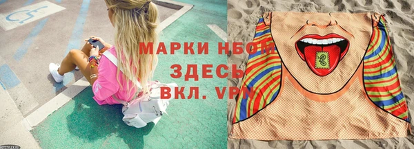 молекула духа Арсеньев