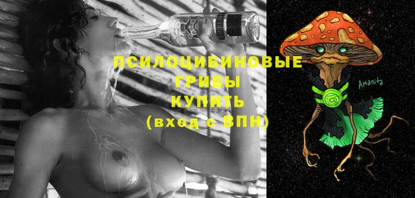 молекула духа Арсеньев