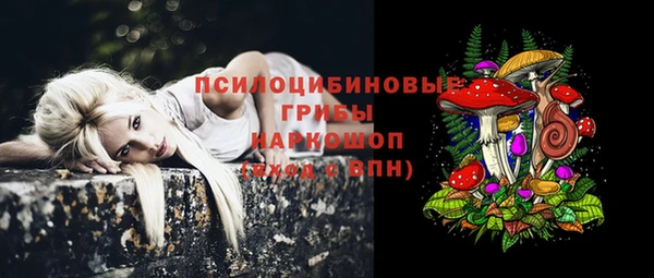 МДПВ Армянск