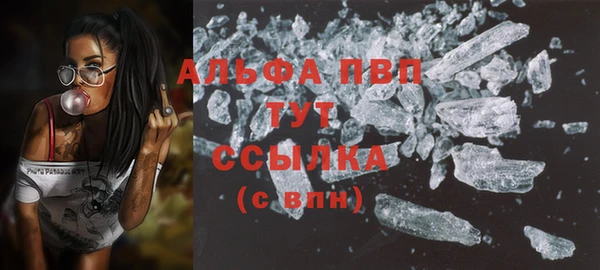 молекула духа Арсеньев