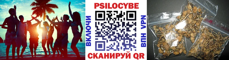 Галлюциногенные грибы GOLDEN TEACHER  Петухово 